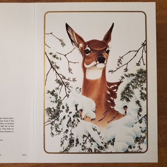 National Wildlife Federation Holiday Cards Christmas WHITE-TAILED DEER Lot Of 10 - Picture 1 of 5